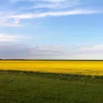 Tini - Haus Deichperle Дом отдыха